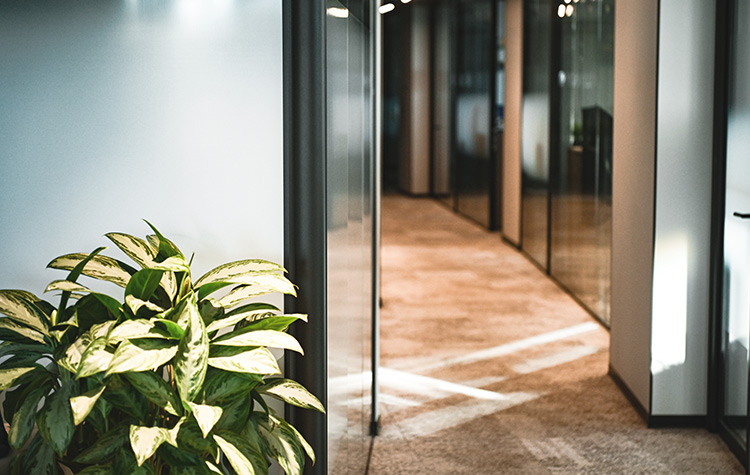 Büroflur mit Teppich und offener barrierefreier Glastür