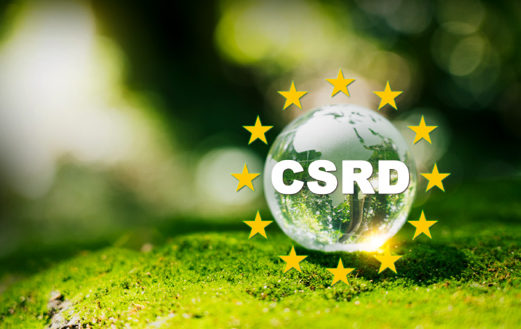 CSRD on a glas pearl with euro stars around it