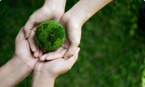 Four hands hold a grass-green globe together
